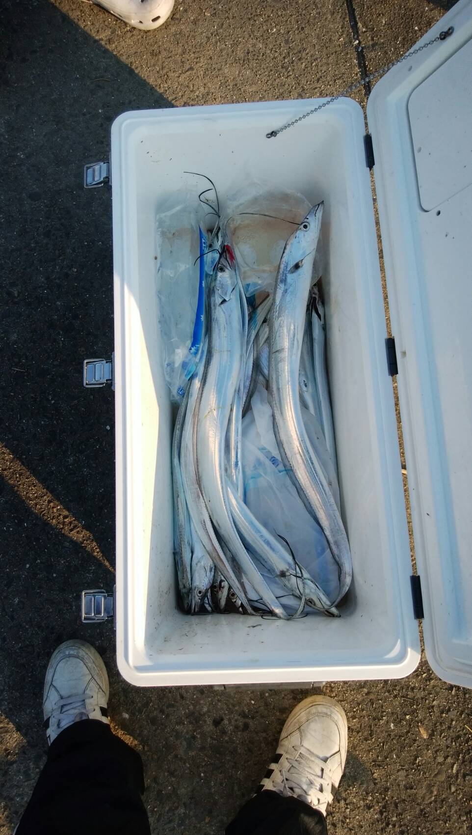 太刀魚釣りに  行きました