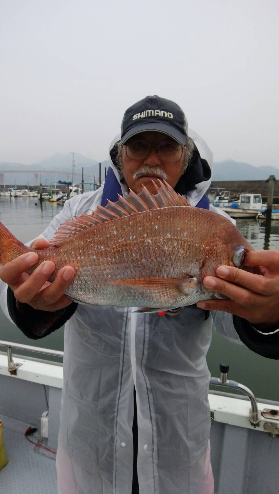 タイ35〜45cm