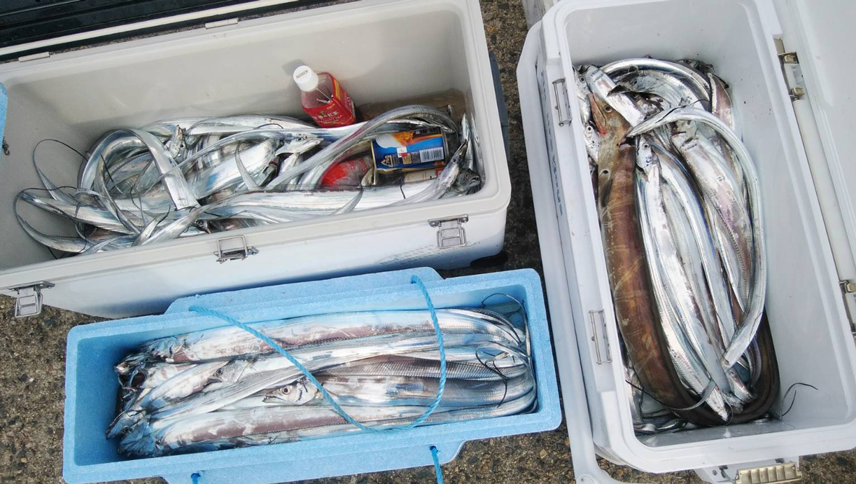 太刀魚釣り