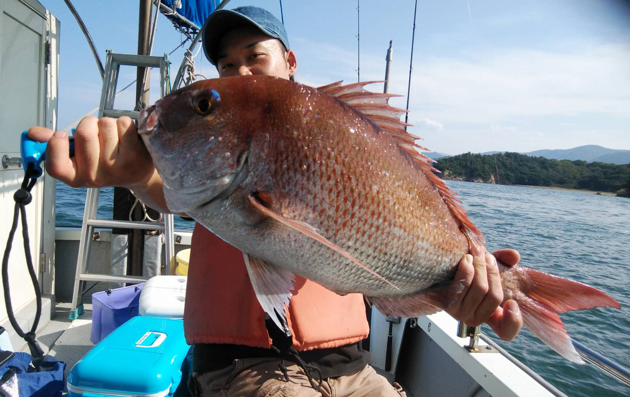 太刀魚アコウ、タイ