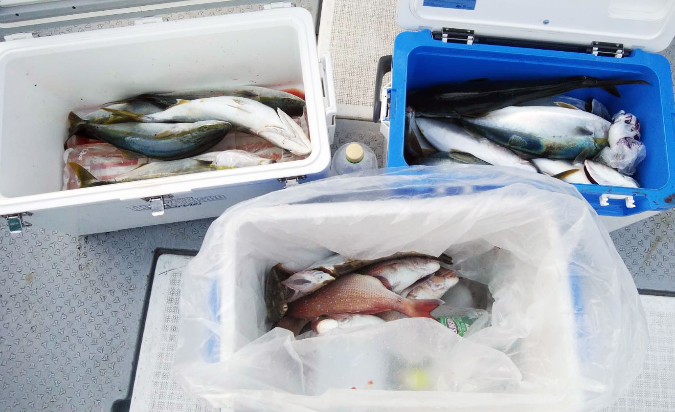 タイ57センチ、コチ50センチ、ツバス48センチ