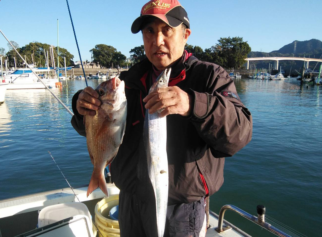 タイ  ツバス   太刀魚がまずまず釣れました。