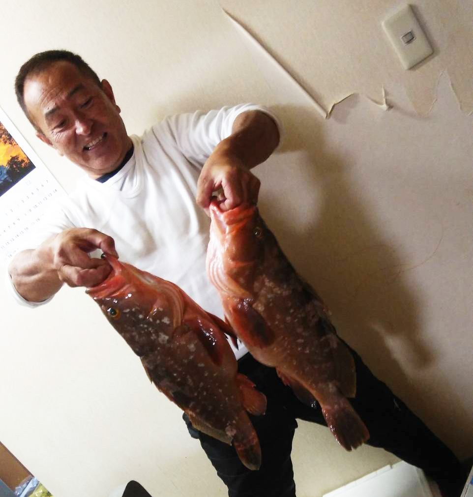 アコウ５6・５０・４８センチタイが６匹