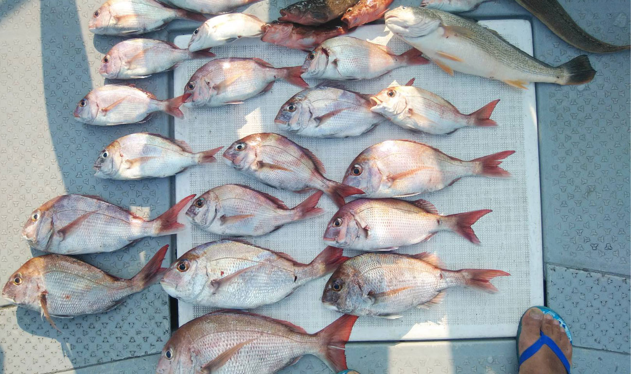 高校の野球部の釣り大会