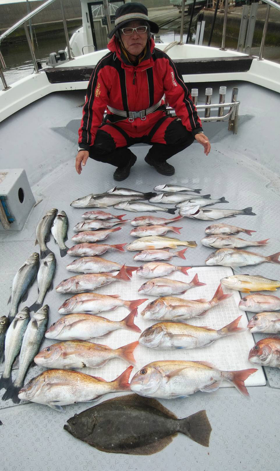 タイ、ヒラメが釣れました