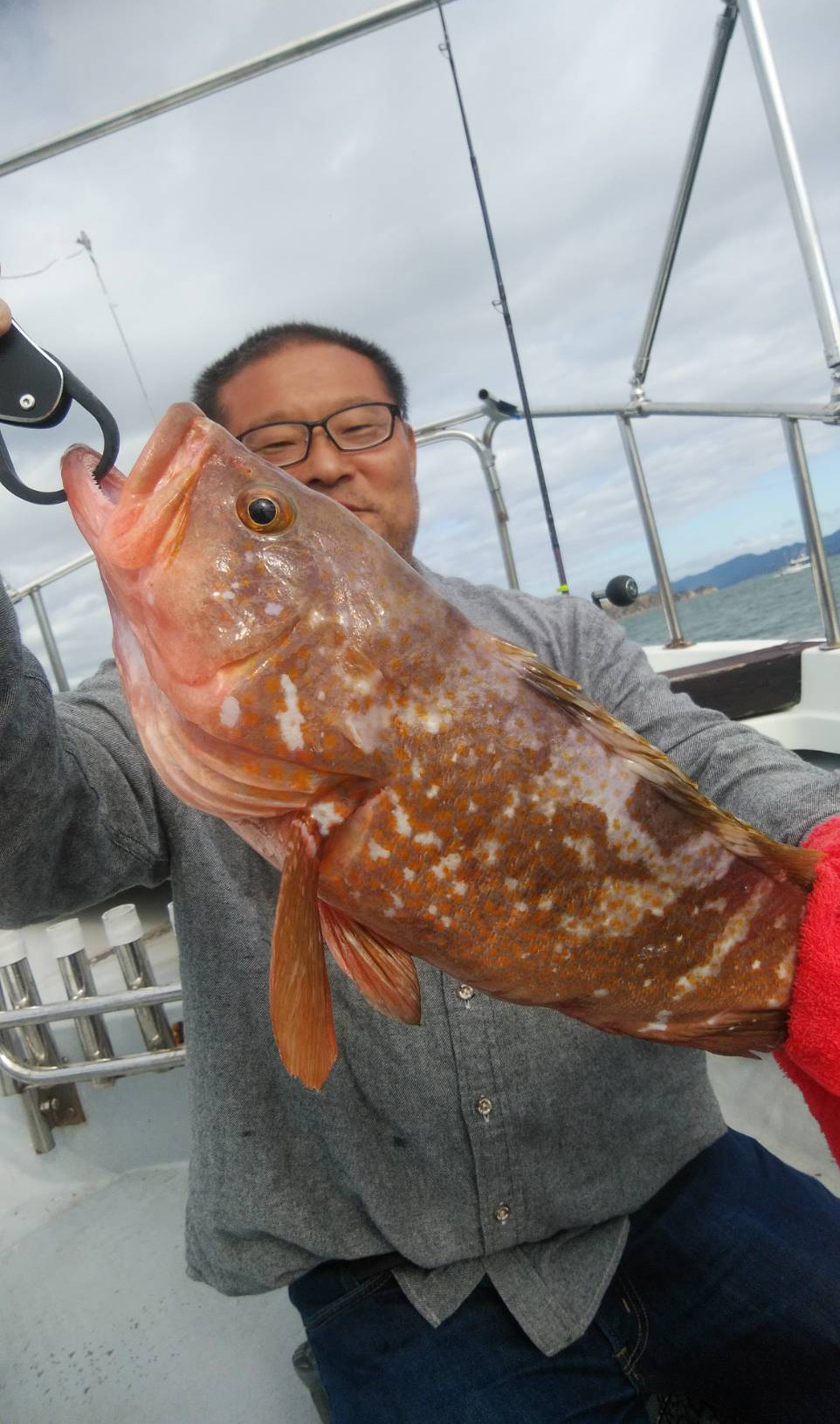 アコウ、タイ、久しぶりのコショウダイ