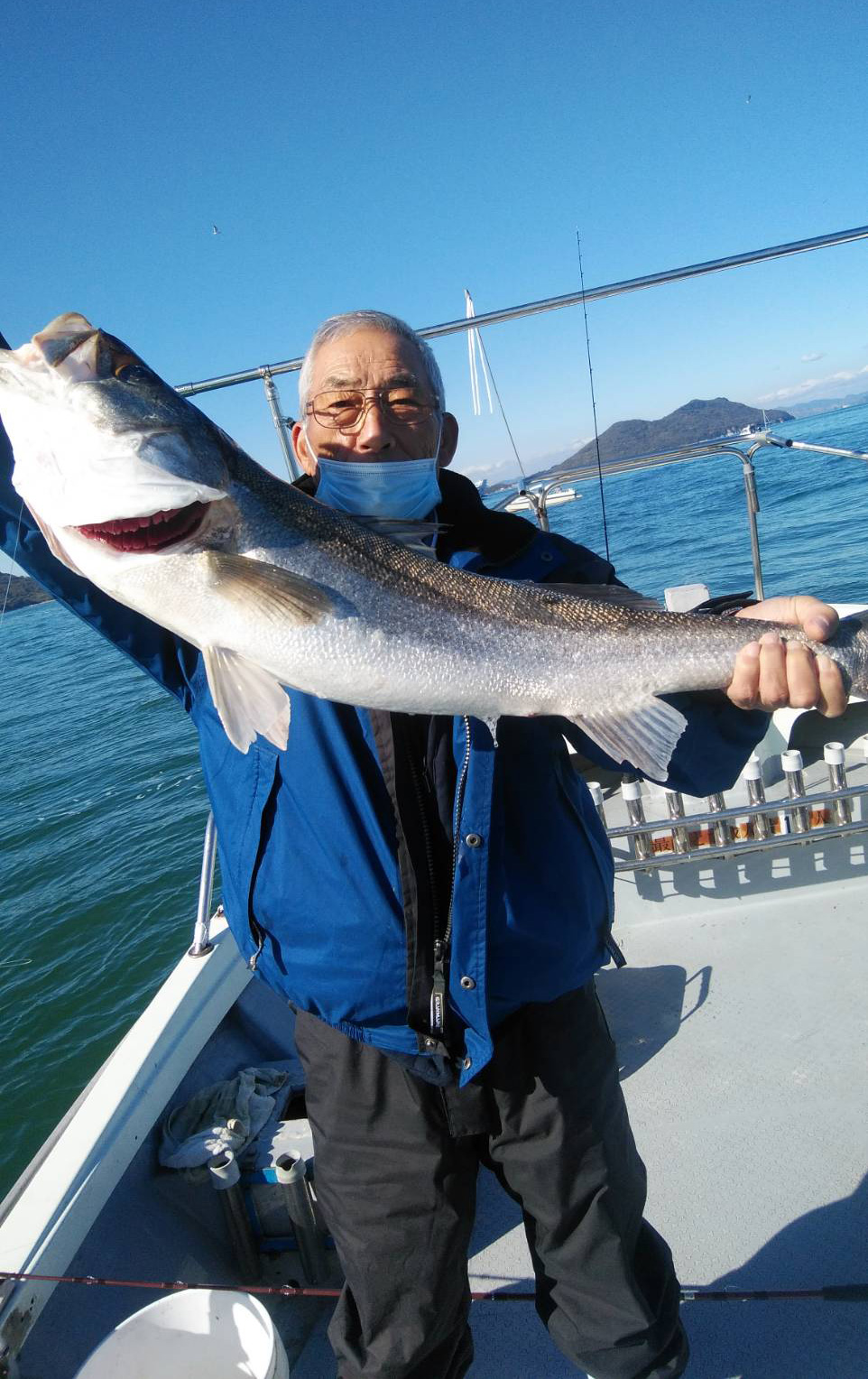 青物