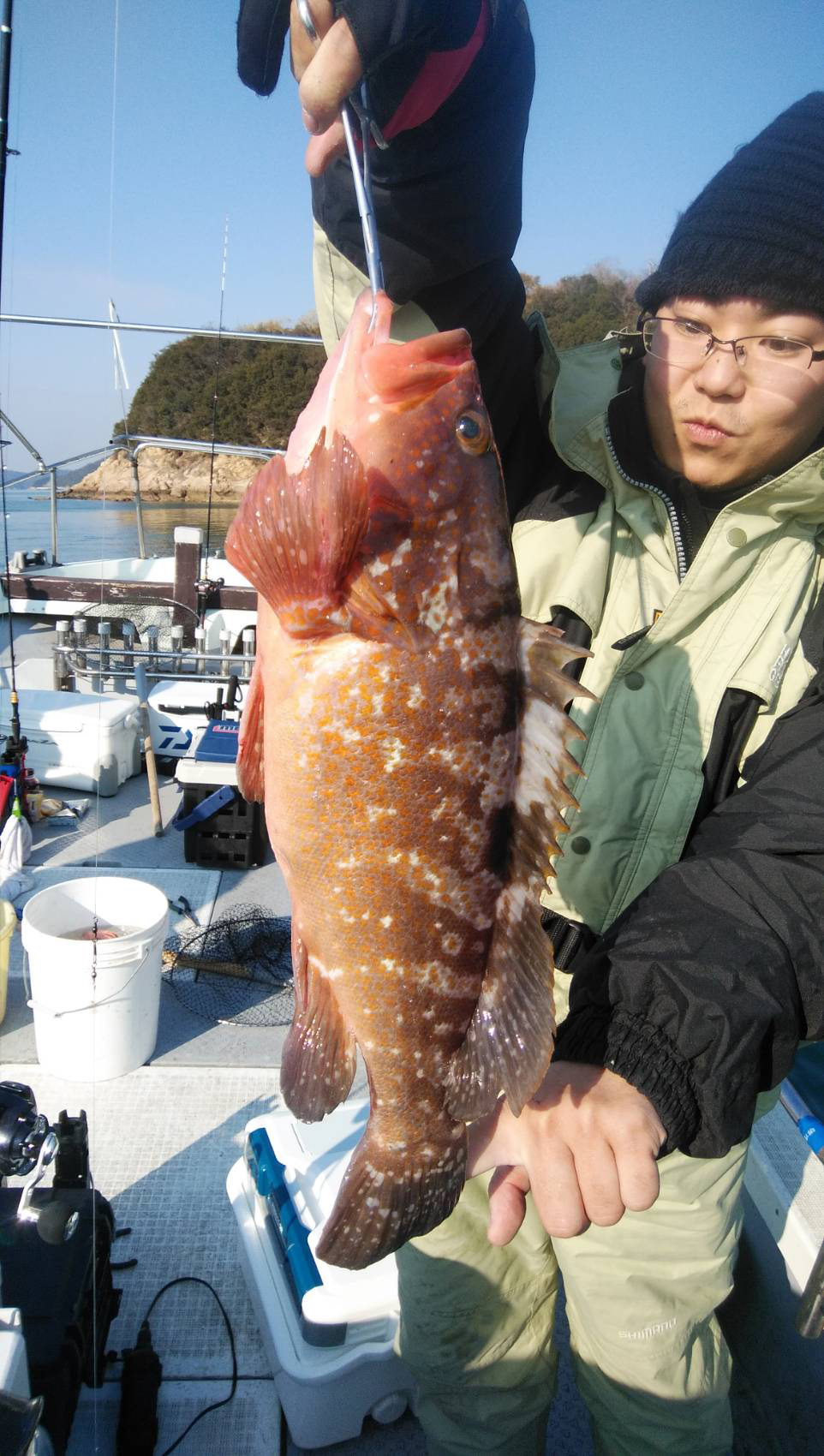 ヒラメ、アコウ