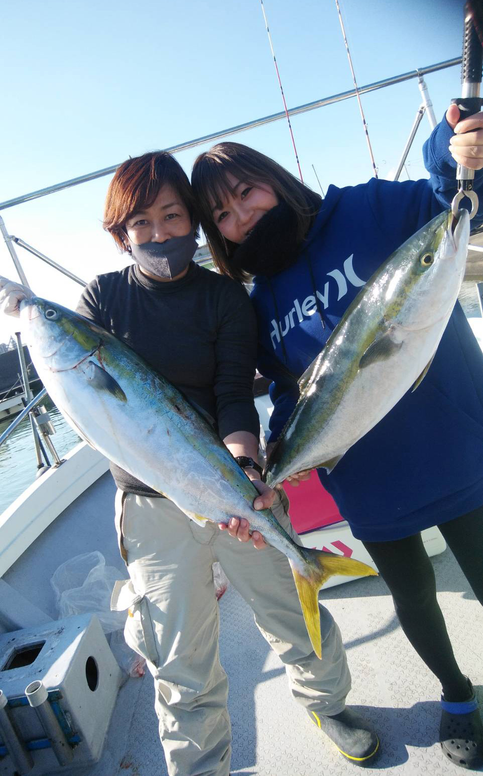 ハマチ
