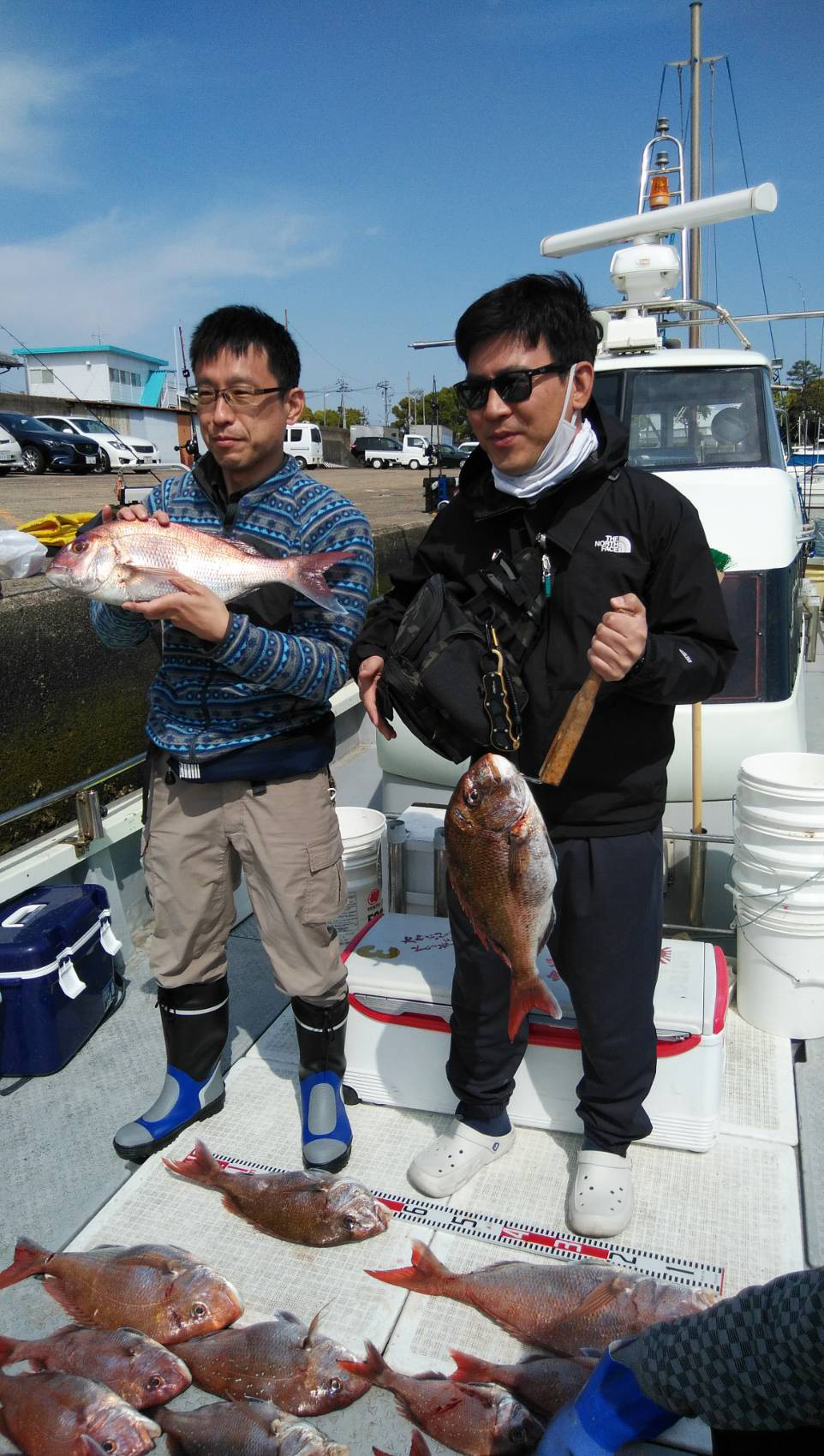 鯛